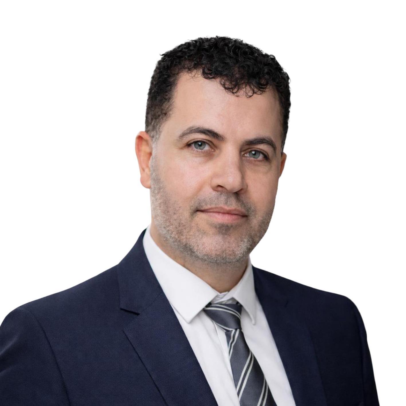 نورس عريضة